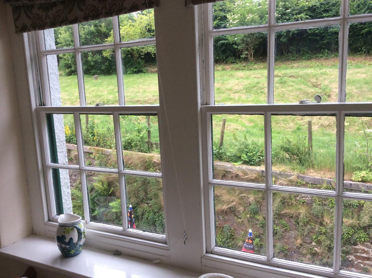 The Forest Inn Dartmoor Yelverton Luaran gambar